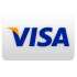 visa payment