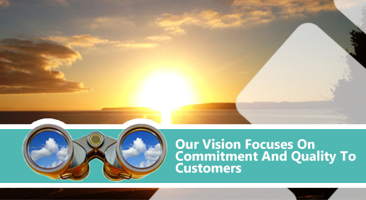 our vision